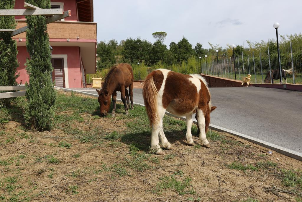 Agriturismo Ciociaro " Il Colle " Hotel Ristorante 세프라노 외부 사진